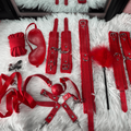 BDSM Kit-5